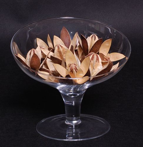 Lilia wild na Arena.pl