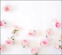 Tło do fotografii produktowej kulinarnej Flat Lay