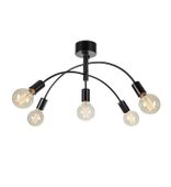 Metalowa lampa sufitowa Cygnus do holu czarna industrial