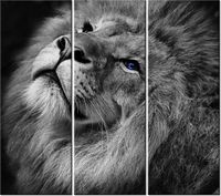 90CM 80 OBRAZ 3 ELEM SREBRNY LEW NIEBIESKIMI OCZYMA ŚCIENNY