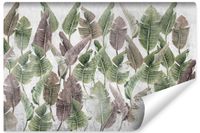 Fototapeta Do Salonu Liście PALMOWE Abstrakcja Beton 270cm x 180cm