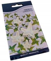 FORMA WYCISKANA DO MASY LUKROWEJ LIŚĆ BLUSZCZ 4szt