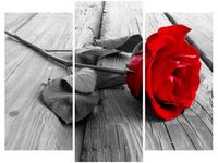 OBRAZ RED ROSE