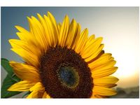 product-compare-58693823