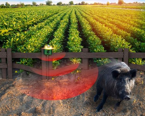 ULTRADŹWIĘKOWY ODSTRASZACZ PSÓW KOTÓW KUN LISÓW DZIKÓW SAREN JELENI NO na Arena.pl