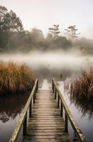 Plakat 56,6x86,4cm Most do Tajemnicy