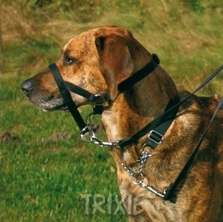 Trixie Uprząż Top Trainer S 22cm [13002] na Arena.pl