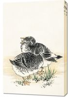 Obraz 60x90cm Black Brant, Kashu Japoński Vintage do Salonu