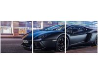 90X30CM MATOWO CZARNY AVENTADOR BEN TRÓJ OBRAZ