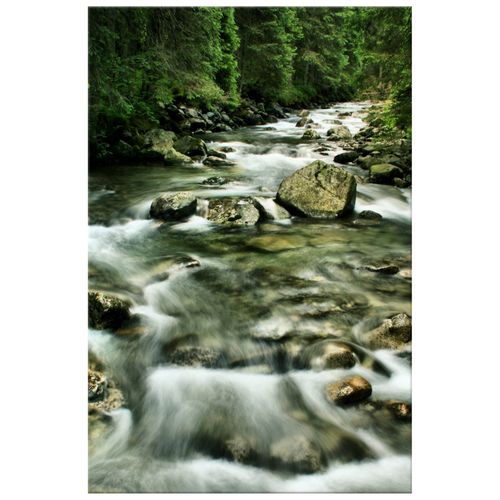 Obraz Płótno 20X30 Rzeka W Tatrach na Arena.pl