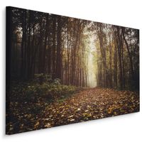 Obraz Ścienny Do Salonu Jesienny Las Natura Pejzaż Rośliny 70cm x 50cm