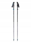 Kije do biegania Black Diamond Distance FLZ Poles - pewter 110-125cm