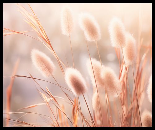 Plakat 60x50cm Kwiaty Słońca na Arena.pl