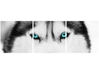 90X30CM GŁĘBOKIE SPOJRZENIE TRÓJ OBRAZ