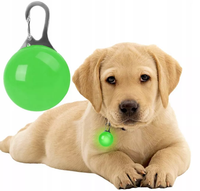 Świecąca lampka led na obrożę zawieszka dla psa