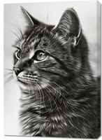 Obraz 70x100cm Kocie Wpatrzenie