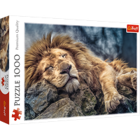 TREFL 10447 Puzzle 1000 Śpiący lew