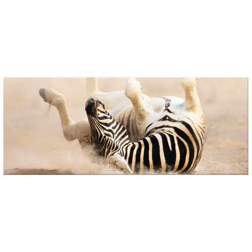 Foto Obraz 100X40 Zebra na Arena.pl