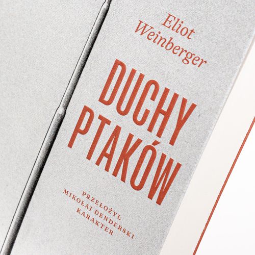 Duchy ptaków na Arena.pl