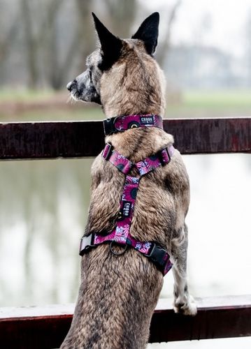 Szelki dla psa bezpieczne dla kręgosłupa Chaba Guard Story XL 30mm Lakota na Arena.pl