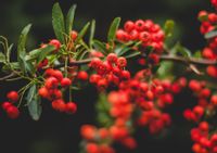 product-compare-50200101