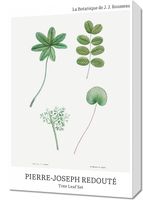 Obraz 40x60cm Design Tree Leaf Set, Redoute Vintage do Salonu