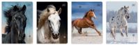 ZESZYT A5 16 = KOLOROWA UV WILD HORSES