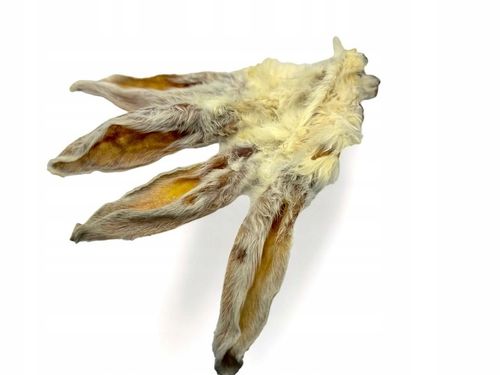 PRZYSMAKI GRYZAK DLA PSA NATURALNE UCHO KRÓLICZE Z FUTREM WŁOSEM 500G na Arena.pl