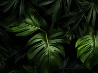 product-compare-59349633