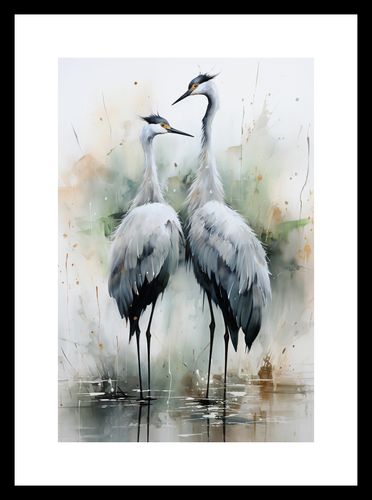 Plakat 20x30cm Tańczące Czaple na Arena.pl