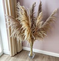 Trawa Pampasowa Beżowa XL Naturalna suszona Typical