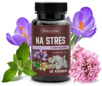NA STRES ashwagandha, szafran, kozłek lekarski