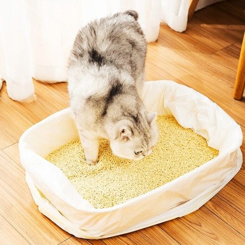 5x WORKI DO KUWETY MOCNE Z TAŚMĄ WYTRZYMAŁE 40 SZT XL DUMIL na Arena.pl