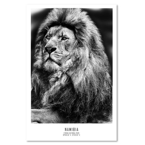 Deco Panel, Symbol Afryki 40x60 na Arena.pl