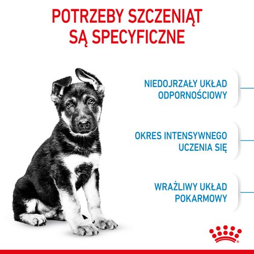 royal canin maxi puppy 1kg na Arena.pl