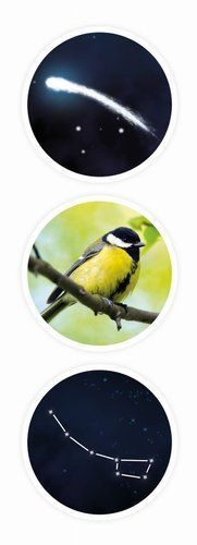 Mini sciences - TELESKOP 9004 na Arena.pl