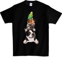 Koszulka T-shirt Kot Pies i Papuga