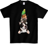 Koszulka T-shirt Kot Pies i Papuga