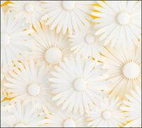 Tło do fotografii produktowej kulinarnej Flat Lay