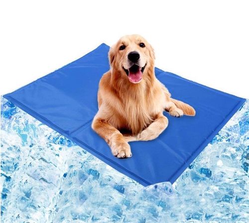 Mata Chłodząca Dla Psów Kotów 50X90Cm na Arena.pl