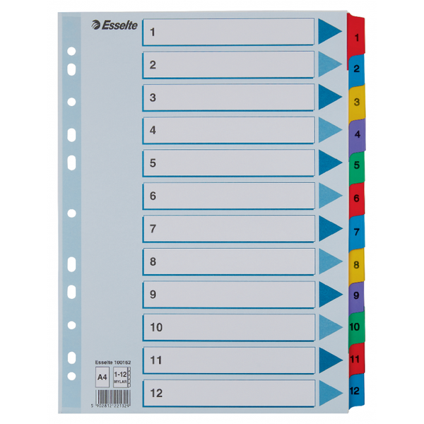 PRZEKŁADKI A4 1-12 MYLAR ESSELTE zdjęcie 1