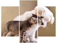 70 90CM OBRAZ 3 ELEM PRZYJACIELE ŚCIENNY PŁÓTNO