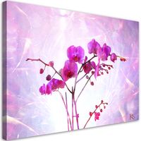 Obraz na płótnie, Eteryczna orchidea 120x80 120x80