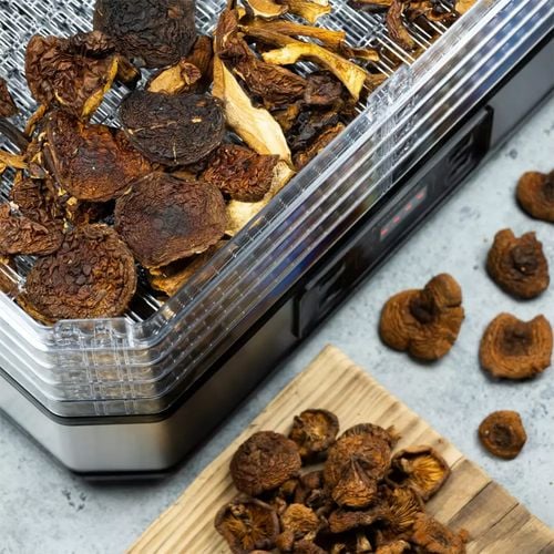 suszarka do grzybów owoców ziół klausberg kb-7569 na Arena.pl