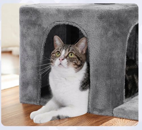 Drapak dla kota drzewo legowisko domek zabawka 80cm (F061) na Arena.pl