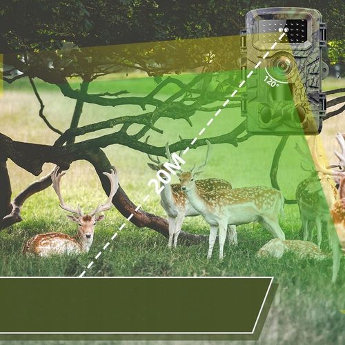 Kamera Leśna Fotopułapka Myśliwska Ip66 Czujnik Ruchu IR Tryb Nocny na Arena.pl