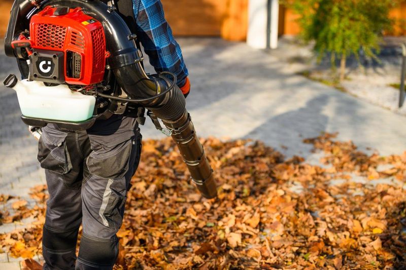 CEDRUS DM05 PRO PROFESJONALNY ODKURZACZ  DMUCHAWA SPALINOWA OGRODOWA DO LIŚCI - OFICJALNY DYSTRYBUTOR - AUTORYZOWANY DEALER CEDRUS zdjęcie 8