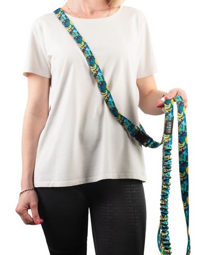 Smycz do biegania z amortyzatorem - Chaba Story III L 25mm/280cm Carnival na Arena.pl