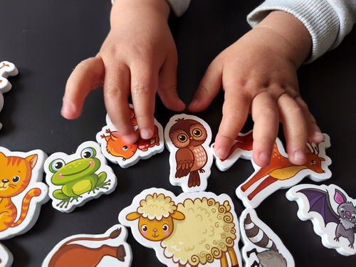 MAGNESY NA LODÓWKĘ DLA DZIECI ZESTAW EDUKACYJNY ZWIERZĘTA PREZENT 30 na Arena.pl