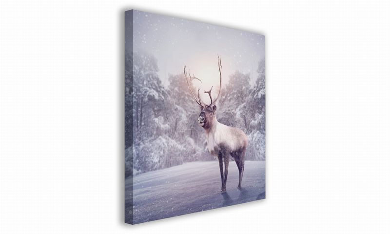 OBRAZ NA PŁÓTNIE 087 Renifer 70x70cm zdjęcie 1